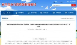 秦黄岛最新爆料消息,揭秘神秘事件背后的惊人真相